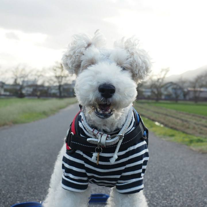 55c1f9d3 52b0 4b76 bde5 f05941c4eb17 1508814789475