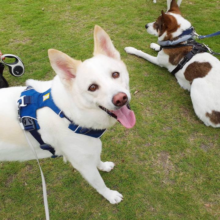 55c2352a 84f3 4dbd a8ba 0fdd17ac3ba9 1696131204318