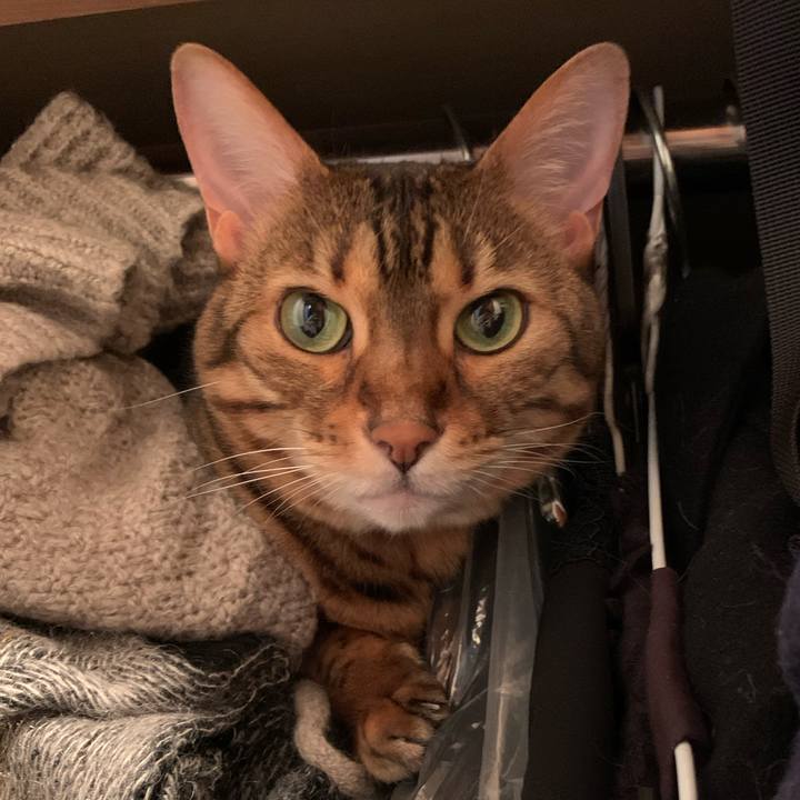 55c23541 cd4c 4812 bd4f 40a831022e5e 1589235232741