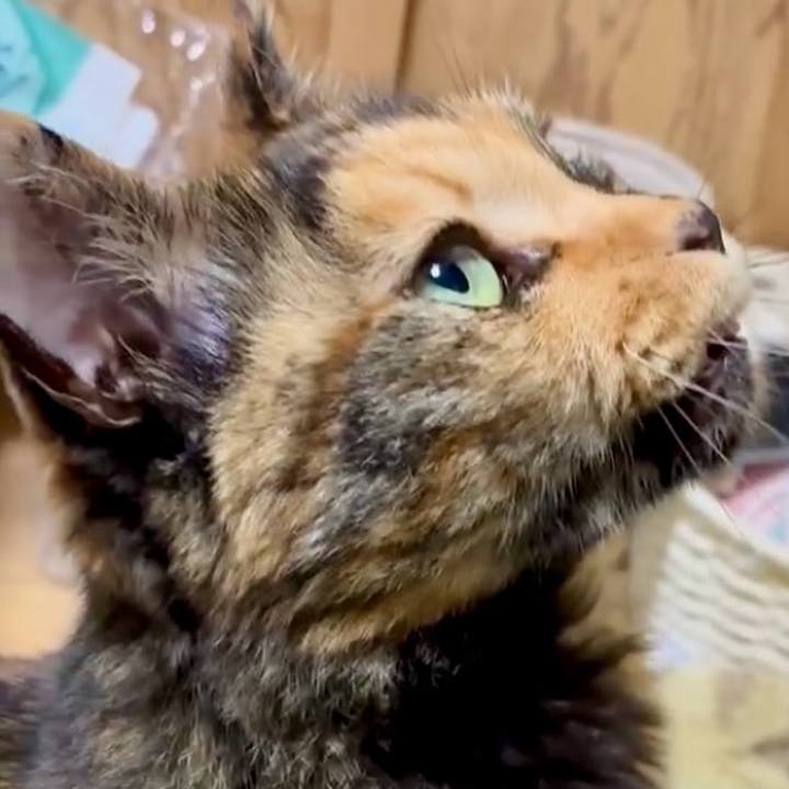 55c241f9 9223 4f05 b168 d8d5ea374121 1751486290059