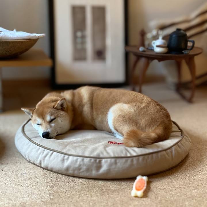 55c25ff2 c0ec 468f a3fa 041b11da0c18 1650436776776