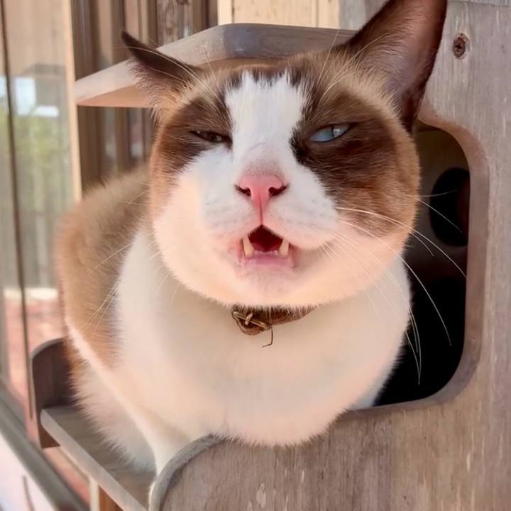 55c28708 33d5 4803 b338 d067de8f6860 1759895164739