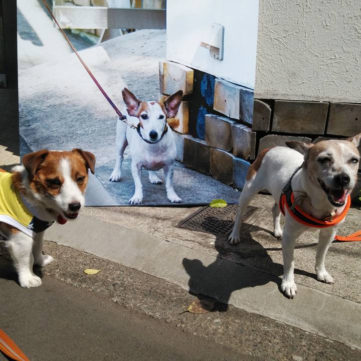 55c2ceba 06bf 4a54 8b01 58c28eb491ce 1524137196654