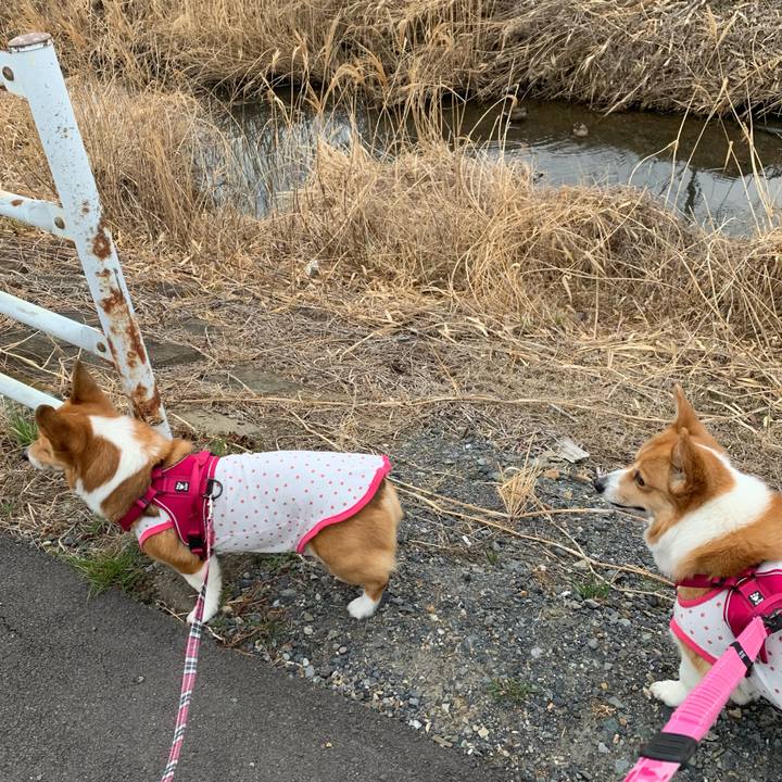 55c2e3c7 72dc 459f a3b1 0da9566c06b2 1614644611931