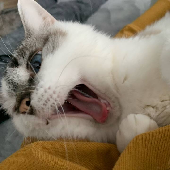 55c2efe6 440e 4954 ad77 8c082b739dc7 1651532369127