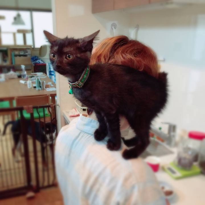 55c34745 a396 4a09 8c6b 9eb5a51b4f36 1559872478466