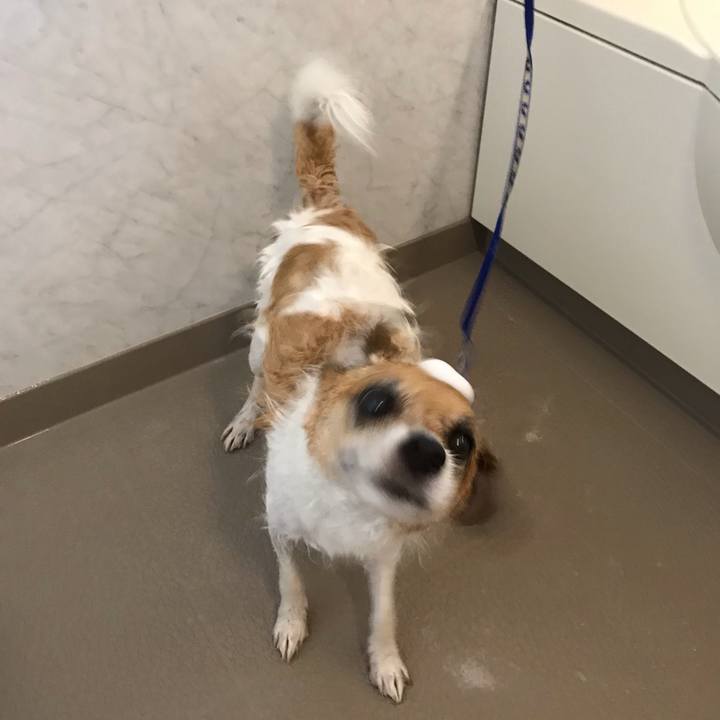 55c38f13 e631 4e5e ad62 c13060dbc760 1559625405364