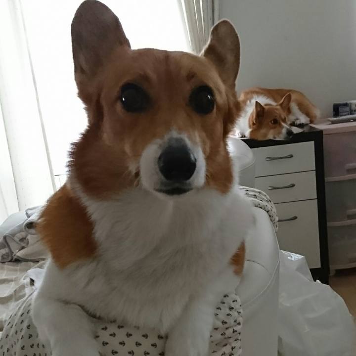 55c3ed39 93a4 4be6 8167 d6f1e373d131 1516417010929