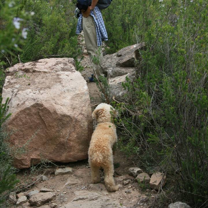 55c4073f 0f7f 4ec5 bca4 11641f332b9c 1537339430506