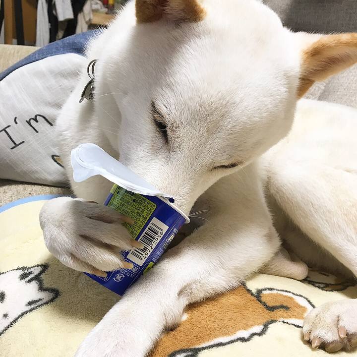 55c428df e53e 4db0 aa09 921657ddbeca 1538129028014