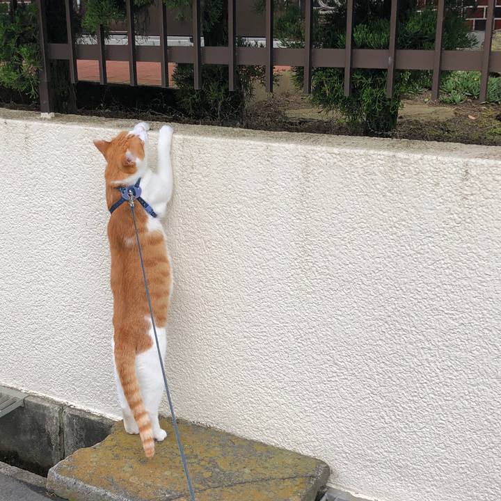 55c441e7 89f8 44da a3be 0a348eddaacc 1563098485082