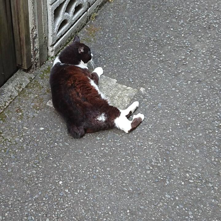 55c4700e 127f 48a6 9b10 2d672f72c1cb 1687949076404