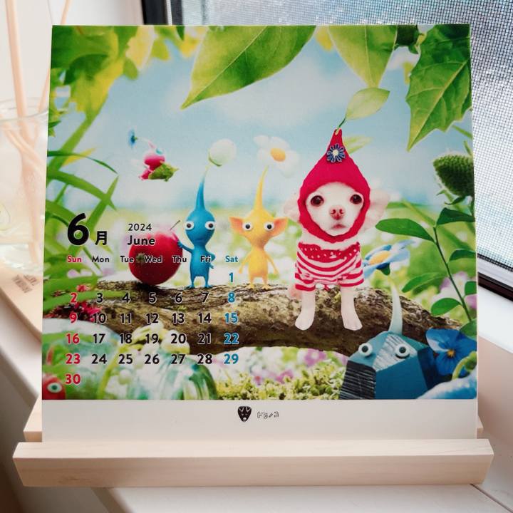 55c4a284 2082 4735 ba64 522da0fee226 1717243511989