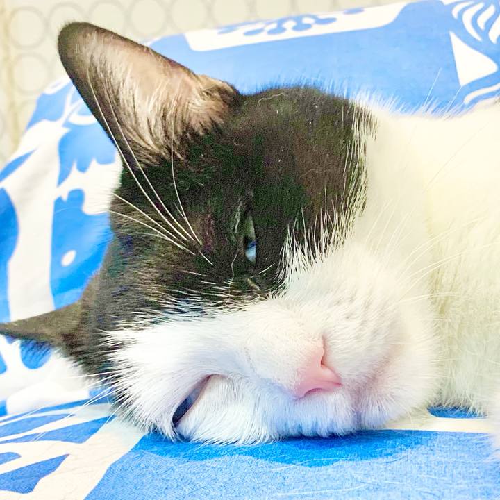 55c4b774 3c81 46dc 9efa 1226733d4d56 1629331501595