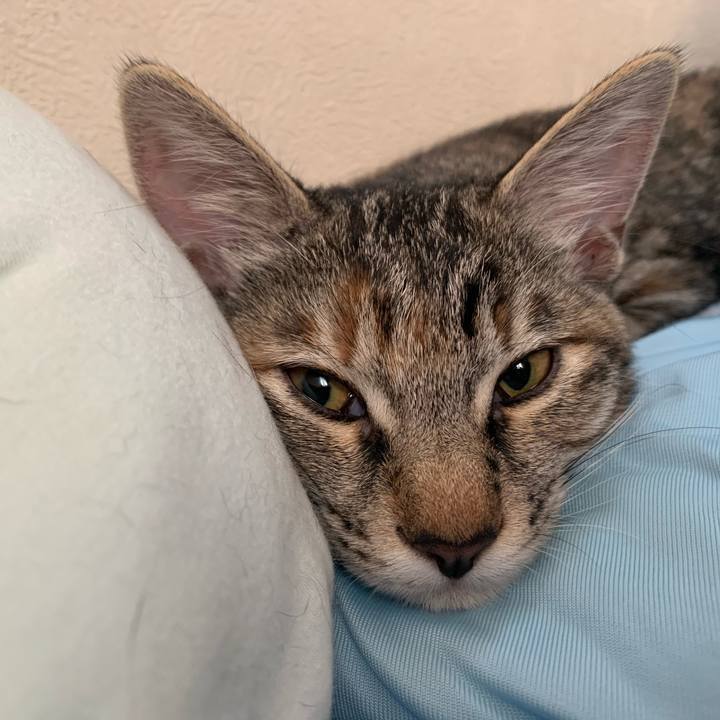 55c4d47c 67f9 43e1 a39e 36ef8f712e25 1596256359844