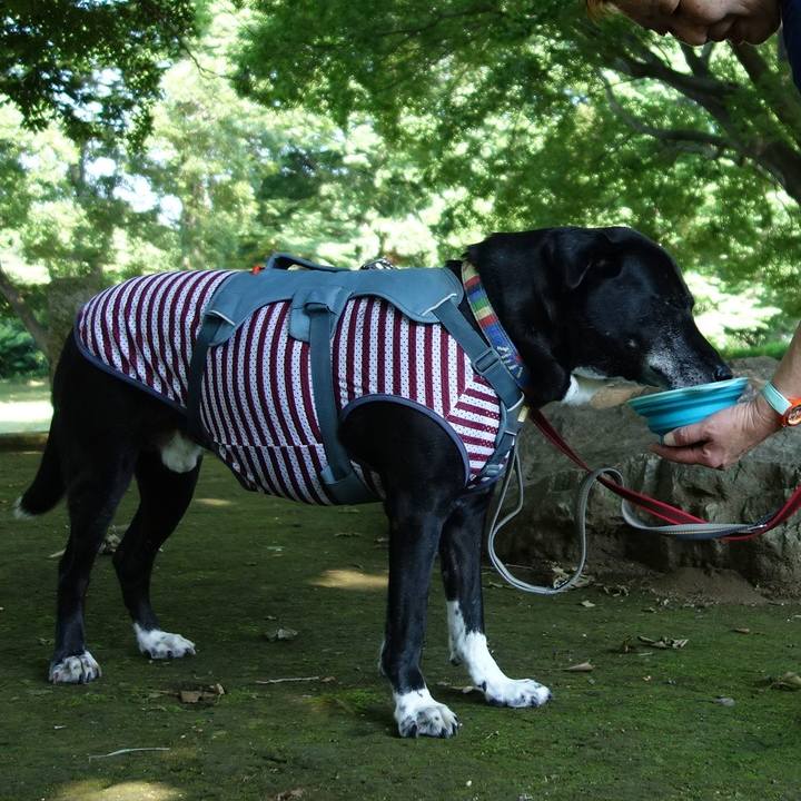 55c52f86 dfc1 4d19 b7a9 46dd718b98da 1718324883817