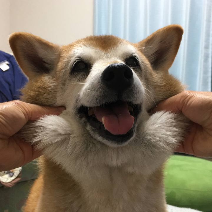 55c54dfb 7f8e 4ffe bfcf e3cdc1b99bd6 1507667425816