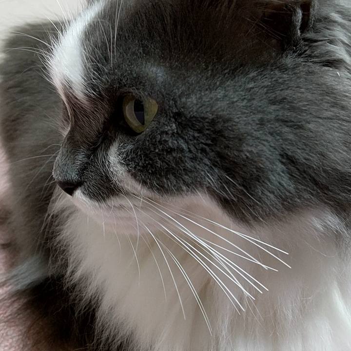 55c56175 5779 411e b921 167081446fdf 1676782834335