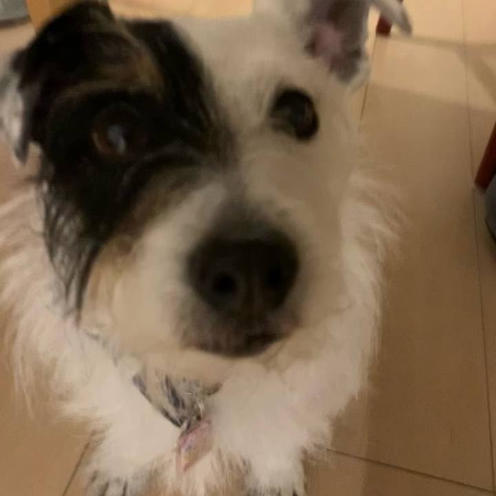 55c5810b d02b 4f87 8f3f 0fcc40b07406 1650881731468