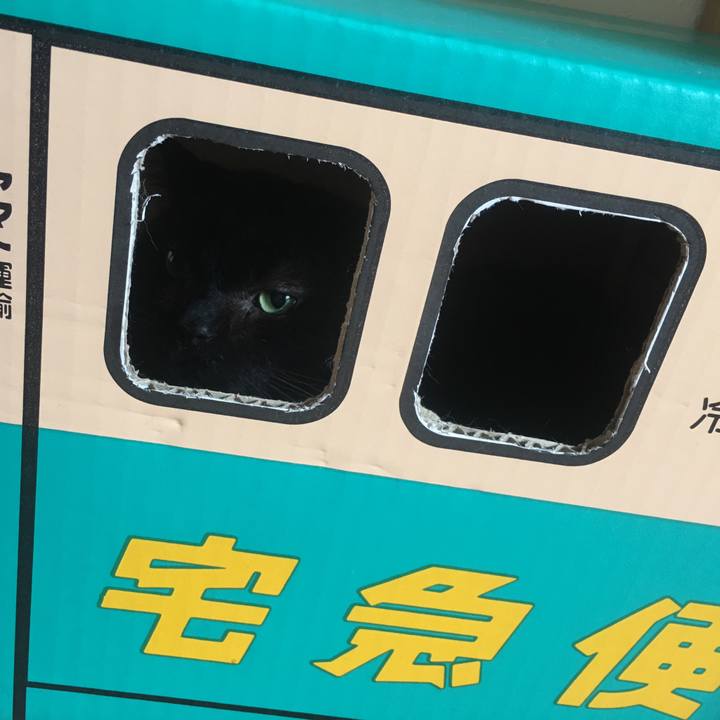 55c5902e 16c6 48a2 be99 7f0c60ee88df 1531445799296