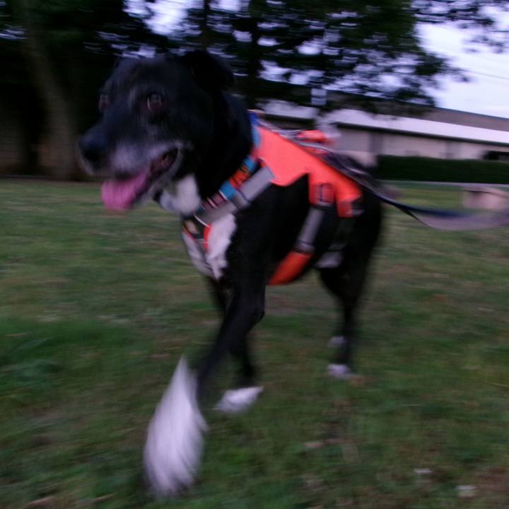 55c5b3a5 a1c4 4777 a5e7 1055e68d81ad 1753881495084