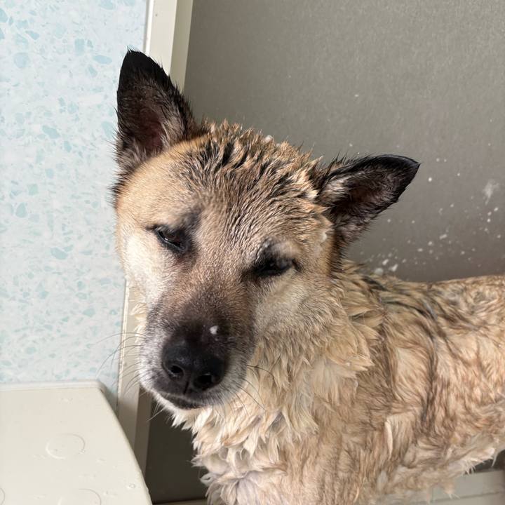 55c5c028 83d8 499c b551 f8c907bf000e 1747568714873