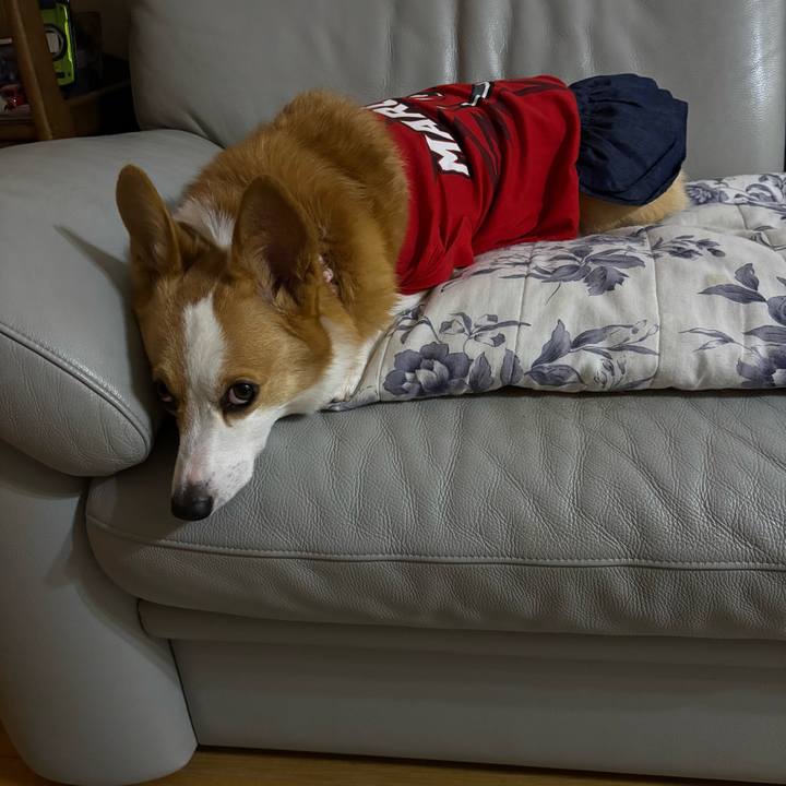 55c5c752 67d0 4760 85ba 319b13bdae0e 1759062465061