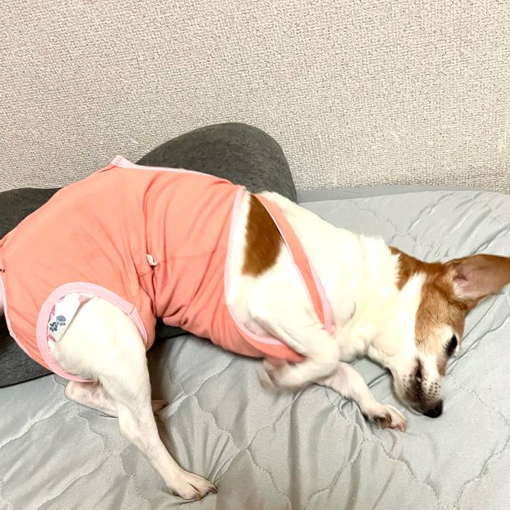 55c5dab3 7612 412f 9442 c3bca0a1942c 1699714045573