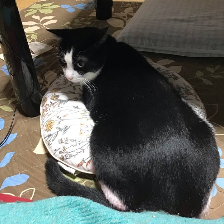 55c5eada b2ee 4f0b 921f dc8d17db353f 1697022320098