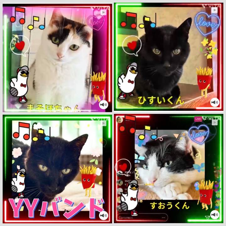 55c5f79a 98a9 4833 b3bc 53f8e778d5a1 1712370178169