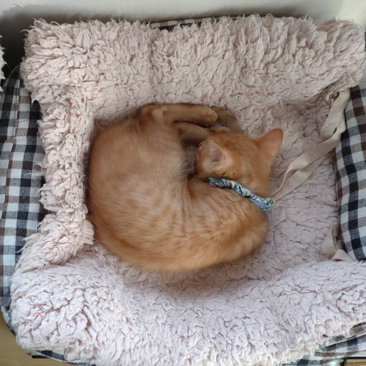 55c614ad 310b 4a5e afd0 9c162a6c201d 1670143944796