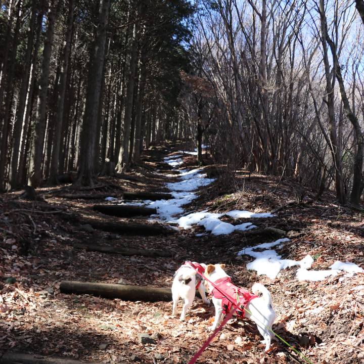 55c653ba 02c7 4ab4 8098 3407abb9aa64 1518862778299