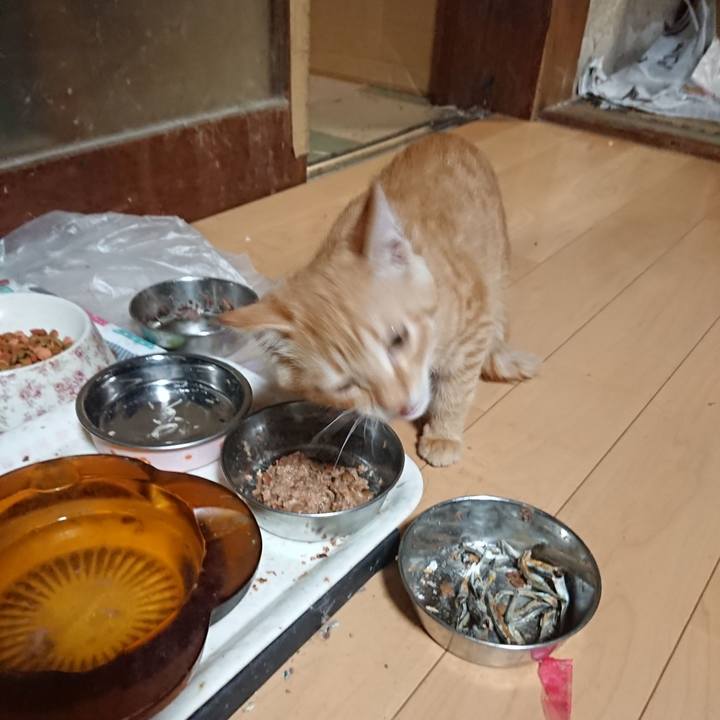 55c6647f 5aef 438b a4f7 c20a76b53450 1633599855169