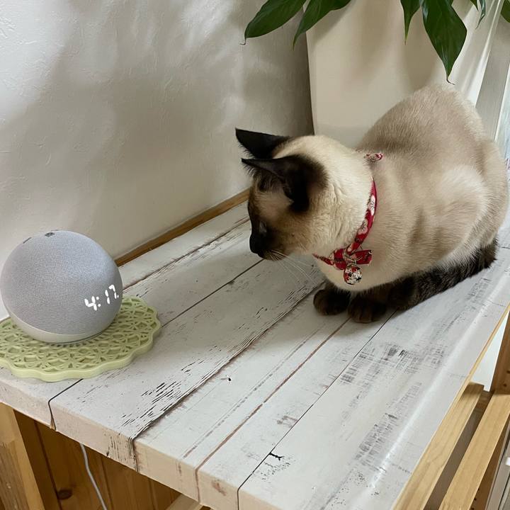 55c6866f dcde 46cb a529 c968479340ab 1708198814328