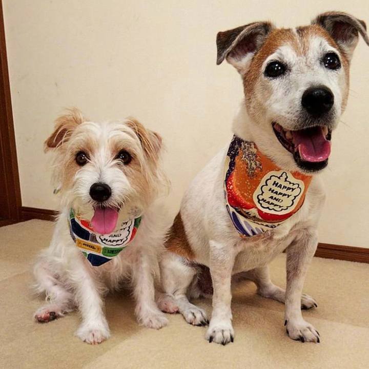 55c68c93 5c74 4409 a83e 37a2e17d83ce 1657868909360