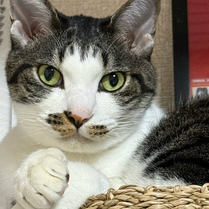 55c69e61 2e3b 4933 8bb6 dd9625356792 1758857619291