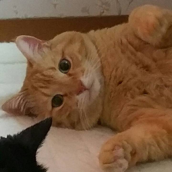 55c6cf6c 8823 4825 bec3 1753050b2f18 1554970510012