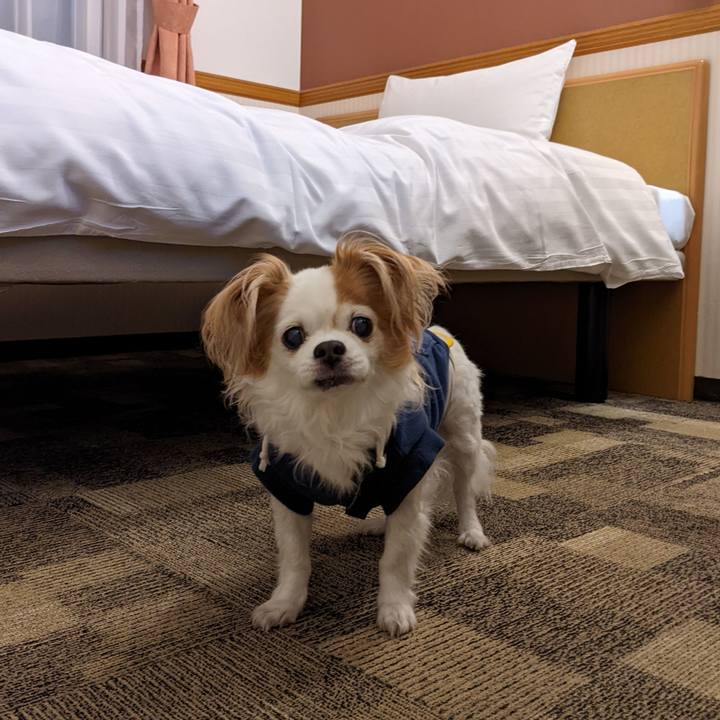 55c6eff6 1392 44fc acb2 6168866d6218 1648201747548