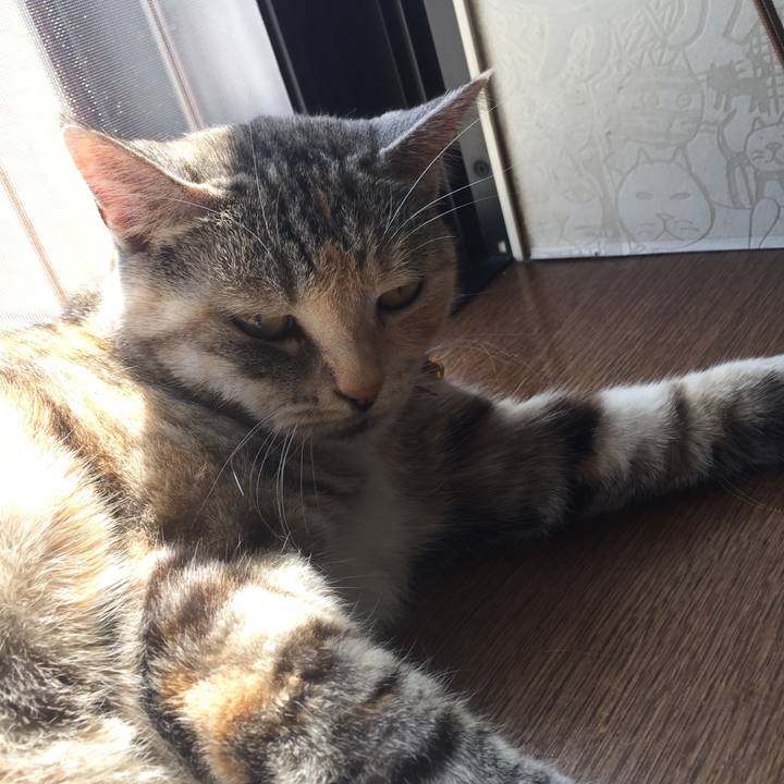 55c7536a ff04 4950 818d bdd8f3ff4ec1 1555733749857