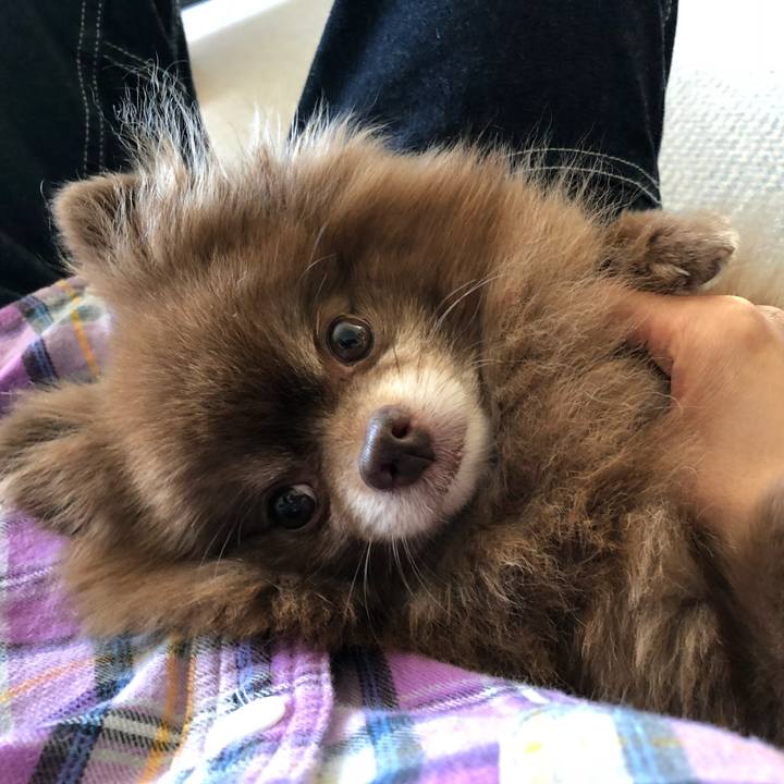 55c76978 539f 47aa 89f5 55bdc9217eb6 1536631149256