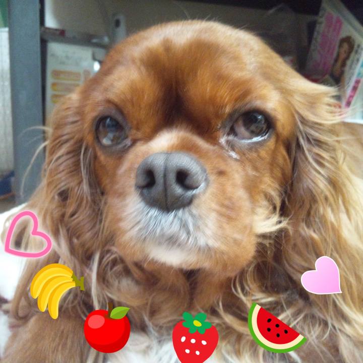 55c842d6 17eb 40f1 bf10 82cfd411f858 1543102419259