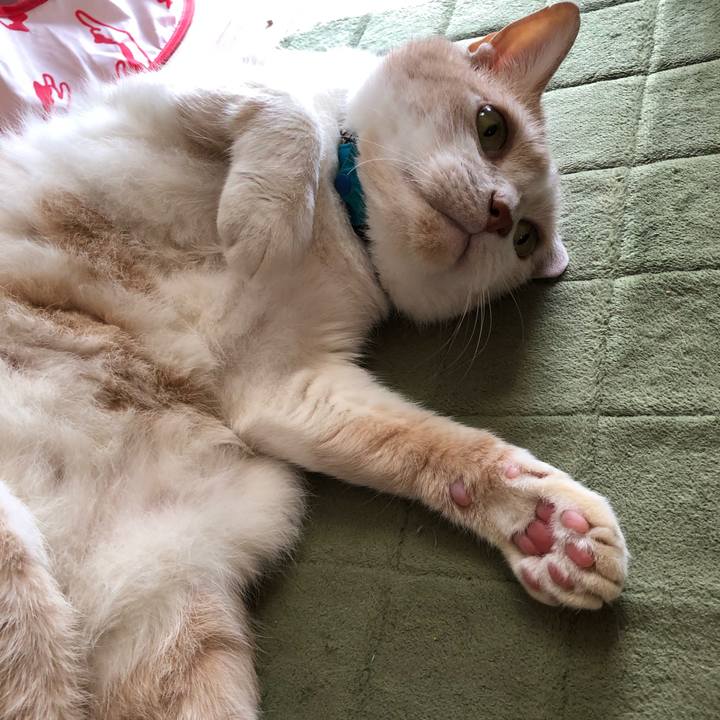 55c85724 89f4 4c8f a836 681436812f5c 1624229562717