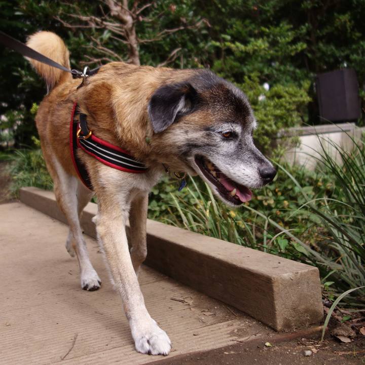 55c8590d 1280 4bd6 9cbb ba24aa5e9edf 1537749730825