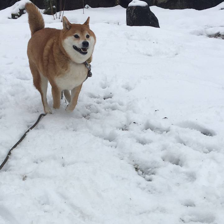 55c86b3f 2ebf 43aa beda 755832173e5a 1608433072084