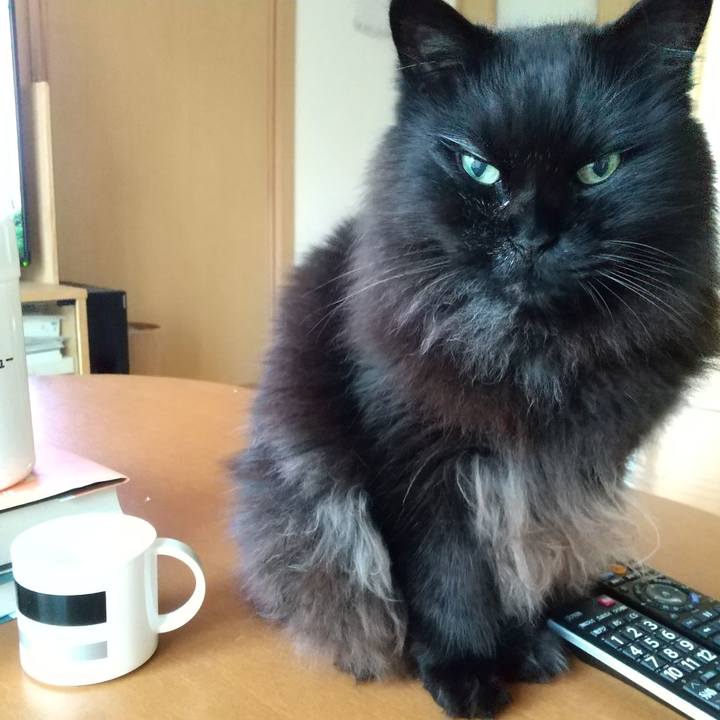 55c8bebc 92d0 46c8 879a 17c023496420 1655458077034