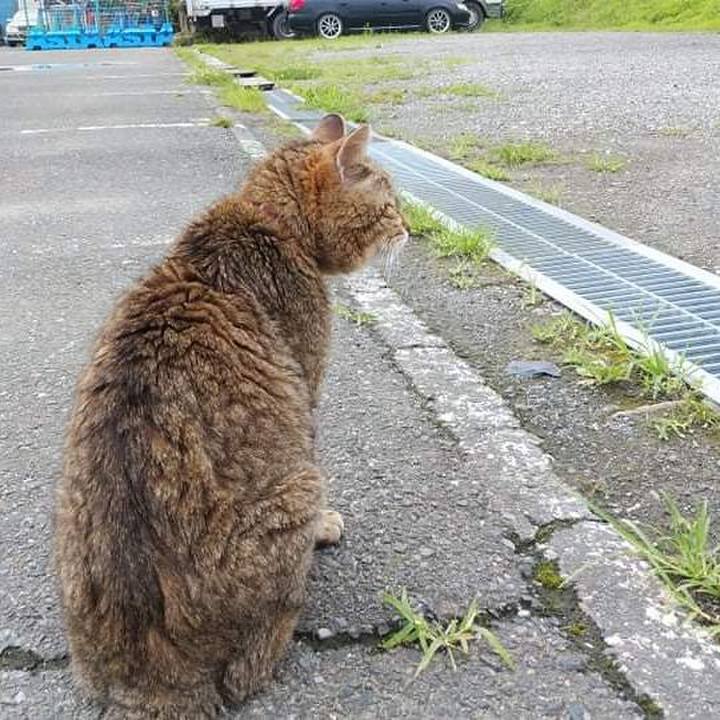 55c8de68 ef10 461d a69c 13406c9369c6 1626137180759