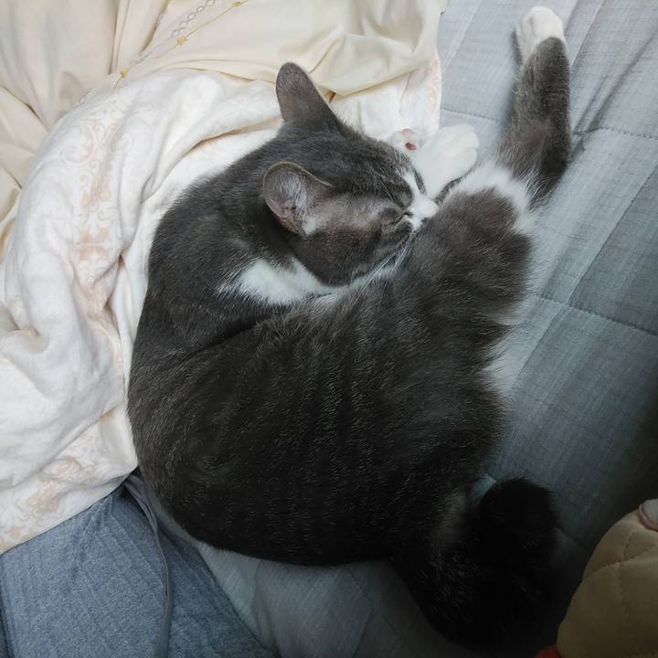 55c9045e bc89 4f38 8f7a 8576e33b978a 1589960434186