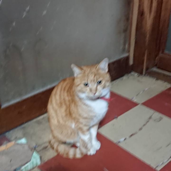 55c9106b 13e5 42b9 a91c 71a49fab281f 1574985726843