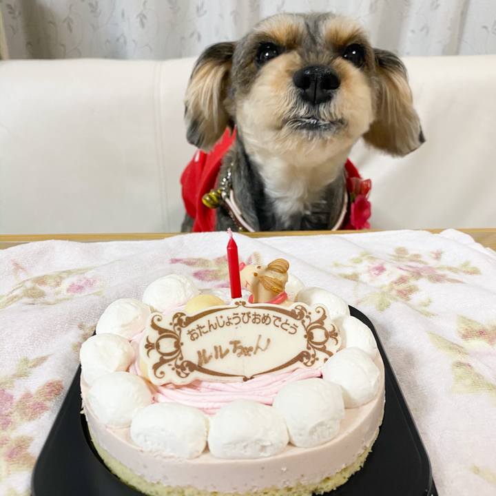 55c91647 903a 4717 ac61 ed17c30cd4f7 1580824172297