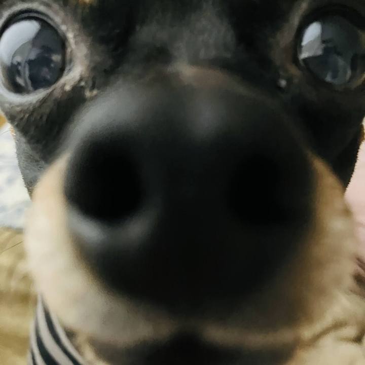 55c91d33 8254 48f4 9f60 bdb9baf7c9da 1711772354179